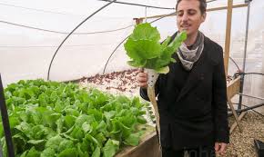 The farm is run as a charity focusing on education, youth work, animal care and horticulture and is a centre for riding for the disabled. This Incredible Rooftop Farm In Israel Grows Thousands Of Organic Vegetables Throughout The Year