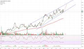 avocado tradingview