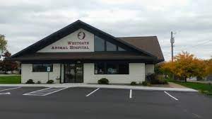 Maybe you would like to learn more about one of these? Westgate Animal Hospital Westgate Animal Hospital Veterinarians Serving Eau Claire Altoona And Surrounding Area