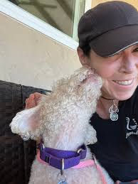 Please please pray for our sweet Samson-Boy . He had a seizure this morning  . It Was so hard to just hold him , but Nothing else I could do. As he