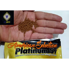 We did not find results for: Terlaris Murai Juara Lomba Ams Platinum 57 High Protein Gacor Tangguh Sehat Rajin Bunyi Shopee Indonesia