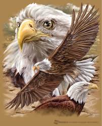 Tinted Tinted Vogelbildergemalt Weisskopfadler Adler Kunst Weisskopfseeadler