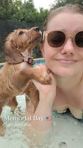 Rosie chilling in water. She just loves to lie down in any water.😁🐾