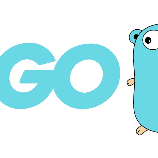 Introduction to Go: A Powerful and Efficient Programming Language - DEV  Community