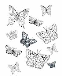 Hand drawn insect for posters or prints decoration. Free Printable Small Butterflies Coloring Pages