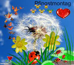 Schönen freitag bilder gif animierte gif freitag bilder gif freitag der 13 bilder gif schönen freitag abend gif bilder schönen… alles gute zum geburtstag ture bilder. Dreamies De 6gxoshrpj5w Gif