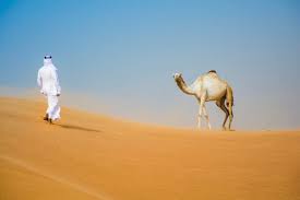 Have booked a camel ride and overnight in dessert camp for early oct. Man Wearing Traditional Middle Eastern Clothes Riding Camel In Desert Dubai United Arab Emirates Cuf19149 Antonio Saba Westend61