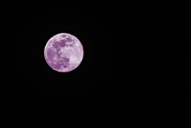 South Jersey Will Witness A Pink Moon Tomorrow Their rotations are so in sync we only see one side of the moon all the time. south jersey will witness a pink moon