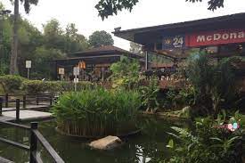 Ridout Tea Garden Singapore Former Queenstown Japanese Garden