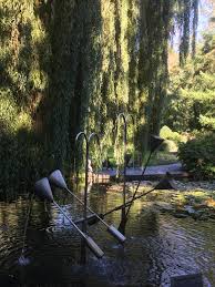 Recommended by 15 out of 17 hikers. Datei Botanischer Garten Hof 3 Jpg Wikipedia
