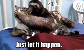 Shhh Just Let It Happen Rape Sloth Quickmeme