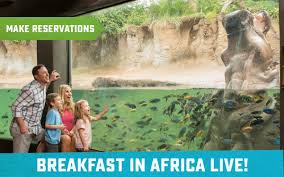 Hungry as a hippo? Enjoy a buffet style breakfast while you watch our  hippos, Uma and Timothy, glide through the water. Book now!  http://sazoo.org/experiences/bb-hippo/
