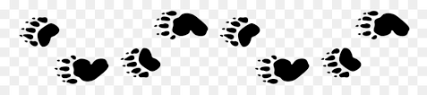 Did you scroll all this way to get facts about tierspuren?. Polar Bear Cartoon Png Download 2550 552 Free Transparent Bear Png Download Cleanpng Kisspng