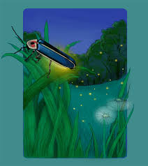 نتیجه جستجوی لغت [fireflies] در گوگل