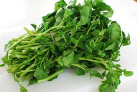 How 'minari' reflects the cast's life experiences. Watercress Namul Korean Bapsang