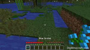 Maybe you would like to learn more about one of these? How To Make A Blue Orchid In Minecraft