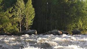 You can use the following text 10 000 Best Forest River Videos 100 Free Download Pexels Stock Videos