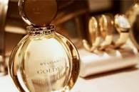 Resultado de imagen para site:www.forbes.com.mx/ marketing cruceros