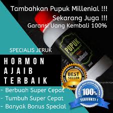 Maybe you would like to learn more about one of these? Super Ampuhl Pupuk Tanaman Jeruk Pupuk Untuk Jeruk Pupuk Pelebat Buah Jeruk Pupuk Boster Jeruk Pupuk Buah Jeruk Pupuk Perangsang Buah Jeruk Pupuk Jeruk Nipis Agar Cepat Berbuah Pupuk Jeruk Nipis Yang