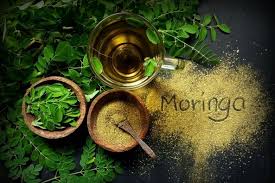 Image result for Moringa
