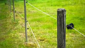 It is based on a strong physical and psychological barrier that keeps away intruders. Import Electric Fence In China Electric Fence Manufacturers And Suppliers