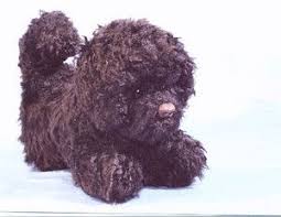 Breed Specific Plush Replicas Stuffed Animals Unique Handmade Golf Club Headcovers Plush Dog Toys Custom Golf Clu Stofftiere Tiere Pluschtier
