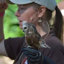 Cody Draper's Instagram, Twitter & Facebook