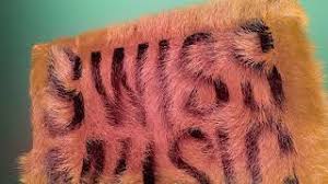 Die swiss music awards finden, im gegensatz zum vorjahr, wieder im hallenstadion statt. Swiss Music Awards 2021 Youtube