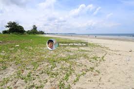 Kota tinggi is also the name of the district, kota tinggi district, where the town is situated. Tanjung Balau Kota Tinggi District Johor