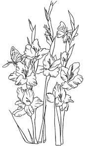 Bottlenose Dolphins Flower Coloring Pages Flower Drawing Coloring Pages
