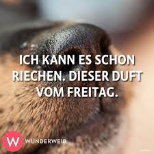 Die Schönsten Bilder Und Sprüche Zum Wochenende