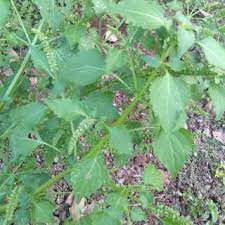 Check spelling or type a new query. Toko Online Lancar Jaya85 Shopee Indonesia