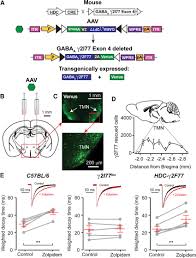 Making Histamine Neurons Selectively Sensitive To Zolpidem