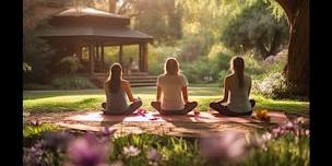Yoga in the Vineyard