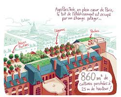 Bd Sur Le Toit Des Legumes Et De La Science Agriculture Urbaine Toit Biodiversite