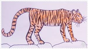 Kumpulan gambar tentang kartun harimau lucu, klik untuk melihat koleksi gambar lain di cara menggambar mewarnai hewan harimau macan kartun lucu untuk anak paud tk sd balita youtube. Cara Mudah Menggambar Harimau Tutorial Indonesia Youtube