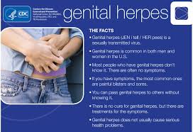 Image result for genital herpes