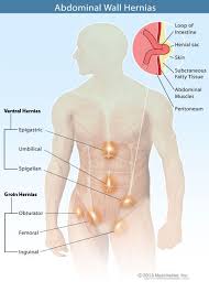 Anatomy male groin diagram of male groin electrical wiring diagrams.… continue reading →. Pin On Demand Control Schema
