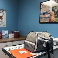 Banfield pet hospital (trinity, fl) november 25, 2020 ·. Pet First Veterinary Hospital 13 Reviews Veterinarians 2114 Seven Springs Blvd Trinity Fl Phone Number Yelp