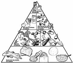 They are all free to print, and the kids will love coloring them in. Recursos Para Educacion Infantil Dibujos Para Colorear De Rueda Y Piramide Alimenticia Food Pyramid Food Coloring Pages Food Groups For Kids