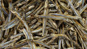 Dose Dry Fish Is Rich in Protein