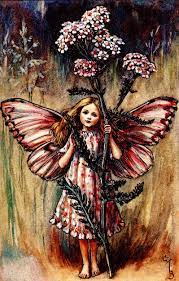 The Song Of The Yarrow Fairy By Cicely Mary Barker In Fairy Rings At Lair2000 Flower Fairies Cicely Mary Barker Beautiful Fairies