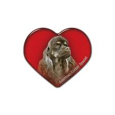 Image result for americký kokršpaněl