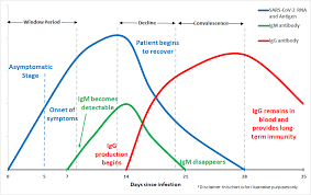 Hemoglobina (hb) este compusul eritrocitar care transportă gazele respiratorii. Testarea Sars Cov 2 È™i Necesitatea Laboratorului De BiosiguranÈ›Äƒ Synevo