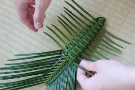 庭のソテツの葉で 沖縄で教わったソテツの虫かごを作る 田中安良里