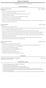 Agile Developer Resume Sample Mintresume
