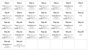 30 day fitness challenge toning