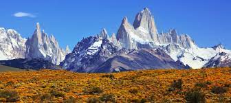 Guanacos grazing in torres del paine national park no one can really agree where chilean patagonia begins. Chile Argentina Patagonia Faqs Southwind Adventures