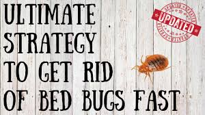 How to get rid of bed bugs at home fast. How To Get Rid Of Bed Bugs Yourself Quick Tips For Killing Bed Bugs Naturally Youtube