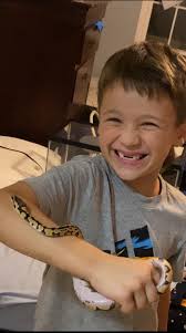 What to do when a pet corn snake escapes from its cage?